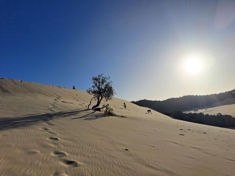 The Desert Moreton Island